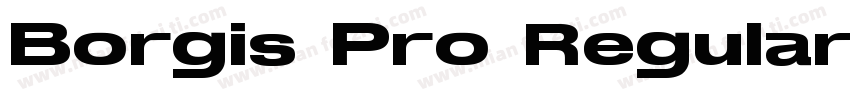 Borgis Pro Regular字体转换